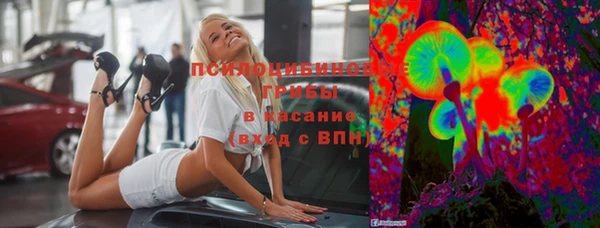 МДПВ Алексеевка