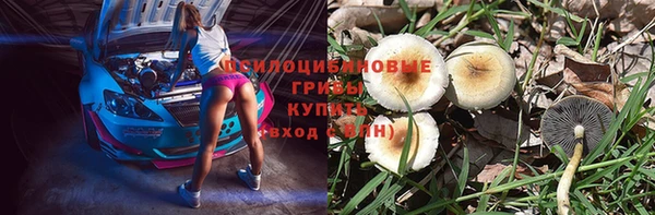 синтетический гашиш Няндома